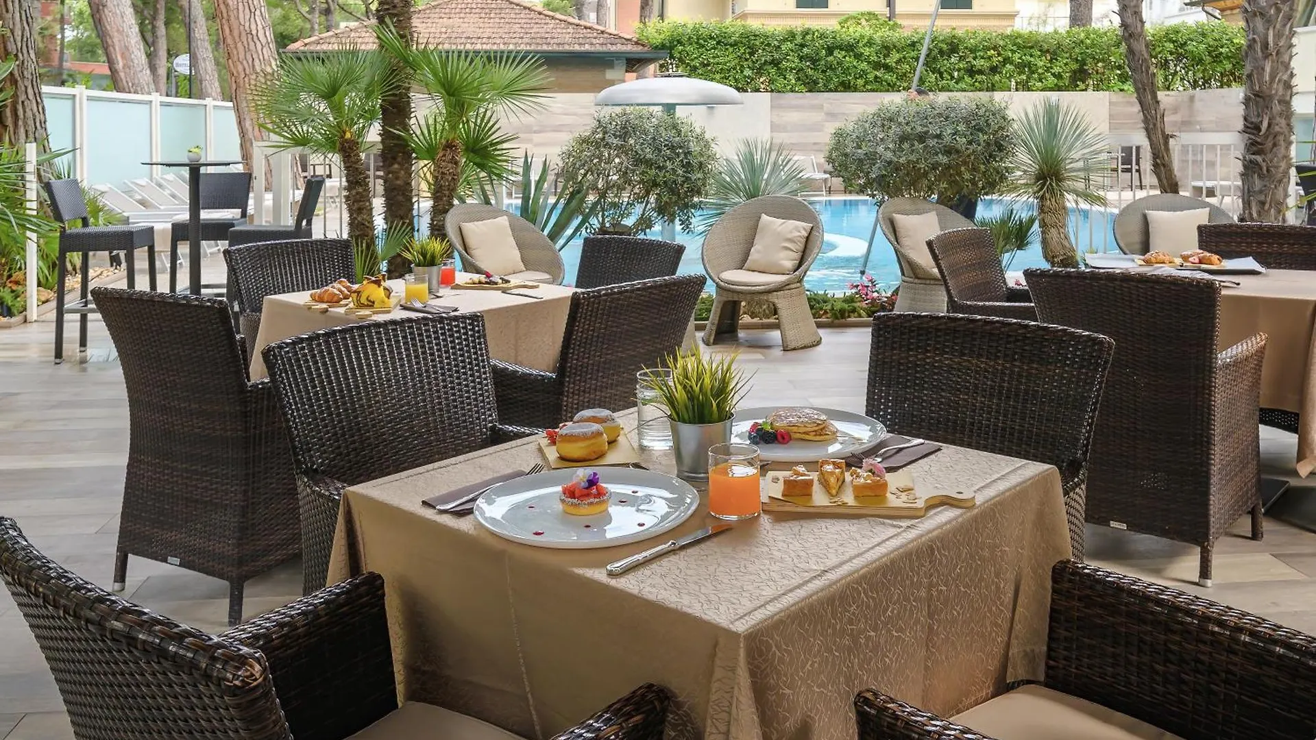 Hotel Alexander Milano Marittima 4*,